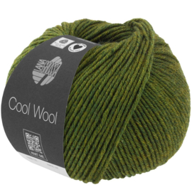 Cool Wool  -1409