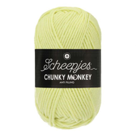 Scheepjes Chunky Monkey mint 1020