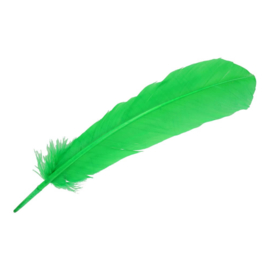 Pieten veer 25-30 cm groen