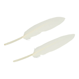 Pieten veer 11-15 cm wit