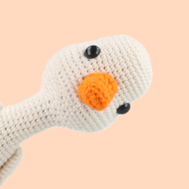 Gerrit gans en de vreemde vogels
