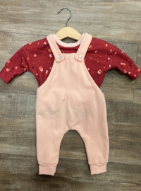 62/68 - tuinbroek met shirt