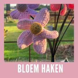 9 mei Workshop:  bloem haken (enige haakervaring gewenst)