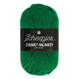 Scheepjes Chunky Monkey juniper 1116