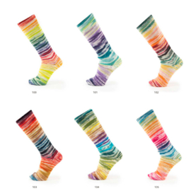 Katia - Symmetric socks&more - crasy 105