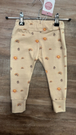 74 - sunset slimjogger