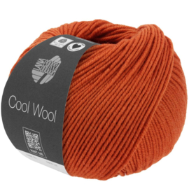 Cool Wool  - 1406