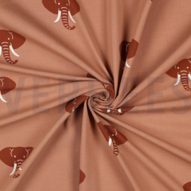 JERSEY - olifanten