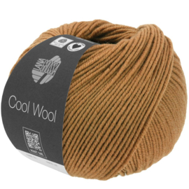 Cool Wool  -1423