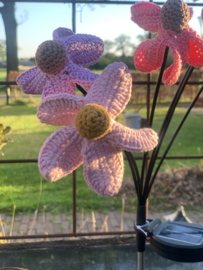 Bloemen van geluk