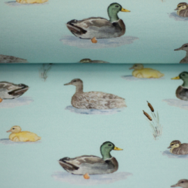 Tricot - Swafing - eend - In the pond  by Christiane Zielinski