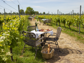 HIGH WINE | WIJNGAARD DE AMSTELTUIN