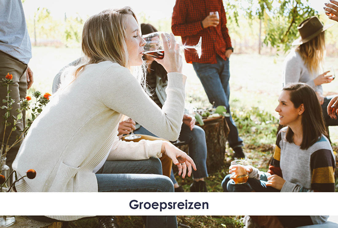 Groepsreizen