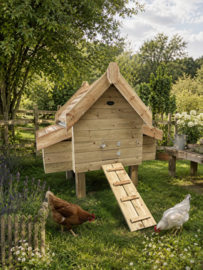 Zander 4