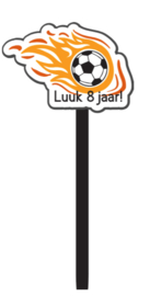 Pringles WK Voetbal