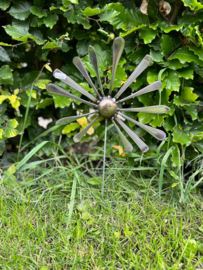 Bestekbloem madeliefje
