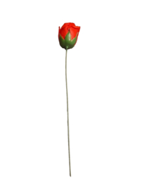 Zeep rozen