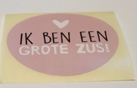 Sticker Grote zus!