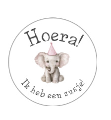 Voetjes lolly (kant en klaar)