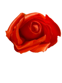 Zeep rozen
