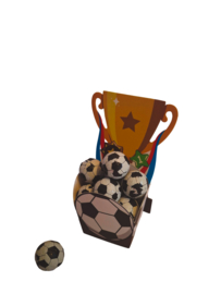 Voetbalbeker traktatie