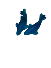 Dolfijntjes