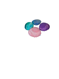 Schelpen