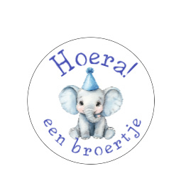 Beschuit met Muisjes: Vier de Geboorte van een Wondertje!