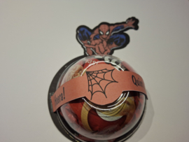 Spiderman houder