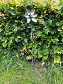 bloem op lange steel