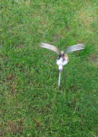 Bestek vogeltje