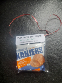 Wat ben jij  een kanjer!