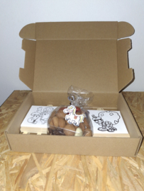 Schoen cadeautje sint & piet