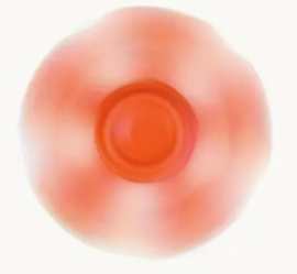 Fidget spinner