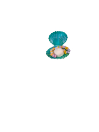 Schelpen
