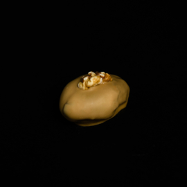 Box van 5 gevulde chocolade dadels - Gold