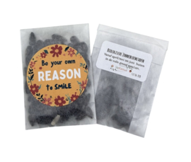Be your own reason to smile (10 stuks) ZONNEBLOEMEN