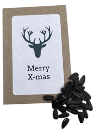 Merry X-Mas