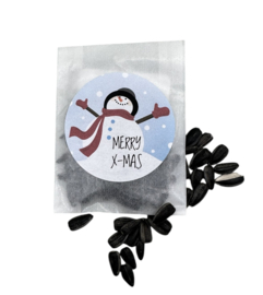 Merry X-MAS (10 stuks)