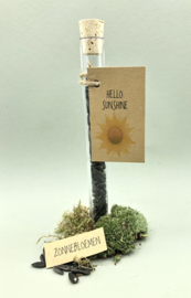 Wensbuisje Hello Sunshine (zonnebloemzaden)