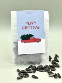 Merry Christmas (Zonnebloemen)