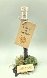 Wensbuisje Ik stuur je een zonnestraaltje (zonnebloemzaden)
