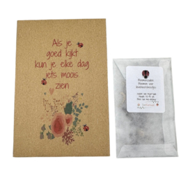 Bloemenzaden Lieveheersbeestjes