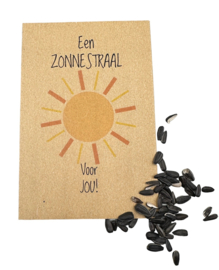 Een zonnestraal voor jou  (zonnebloemen)