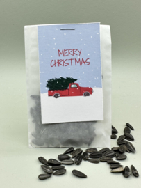 Merry Christmas (Zonnebloemen)