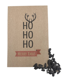 HO HO HO Merry Christmas (zonnebloemzaden)