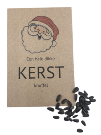 Een hele lieve Kerstknuffel (zonnebloemzaden)