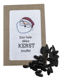 Een hele dikke Kerstknuffel