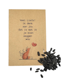 Troost