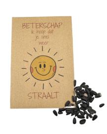 Beterschap